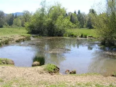 3773 Holland Loop Rd, Cave Junction, OR 97523 photo 7