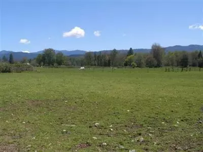 3773 Holland Loop Rd, Cave Junction, OR 97523 photo 6