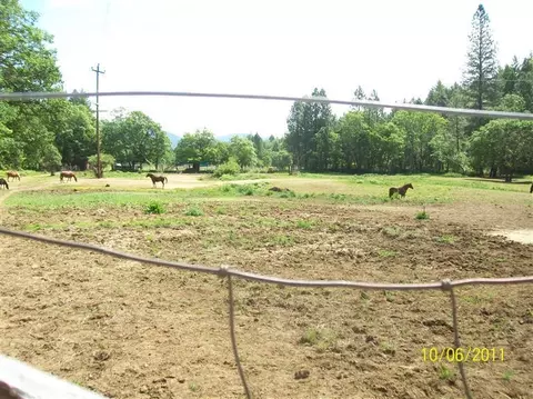 2009 Holland Loop Rd, Cave Junction, OR 97523 photo 8