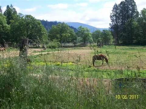 2009 Holland Loop Rd, Cave Junction, OR 97523 photo 7