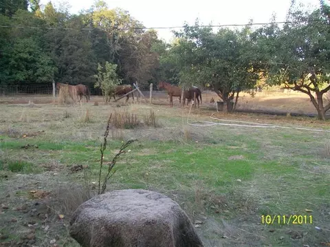 2009 Holland Loop Rd, Cave Junction, OR 97523 photo 13