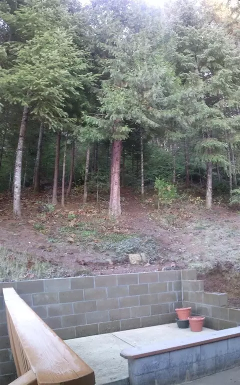 222 Fifth St, Glendale, OR 97442 photo 3