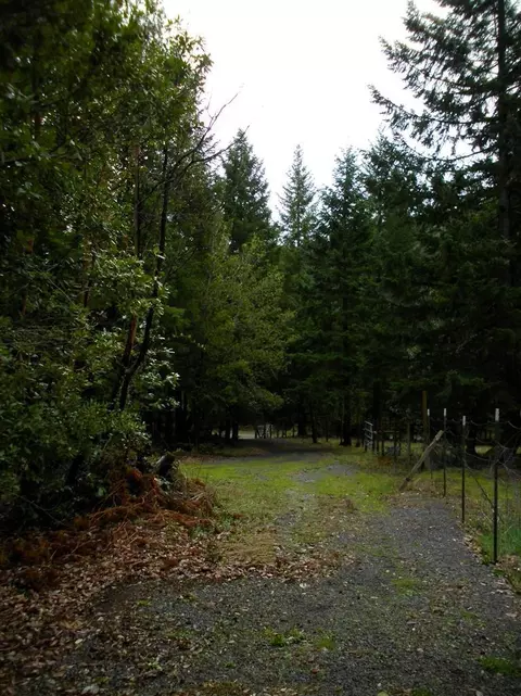 774 Three Mill Rd, Selma, OR 97538 photo 10