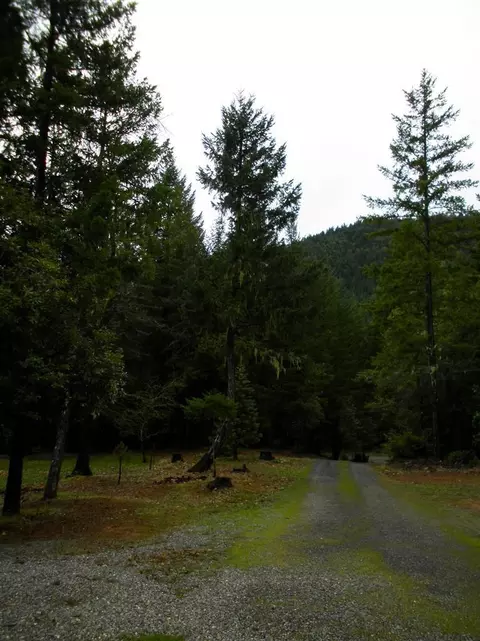774 Three Mill Rd, Selma, OR 97538 photo 14