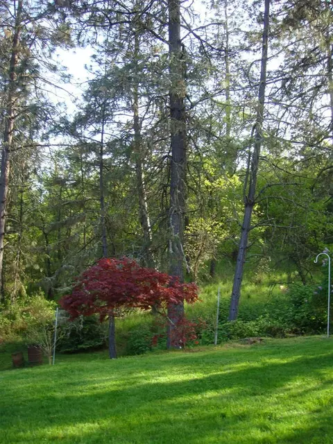 501 Crestview Loop, Grants Pass, OR 97526 photo 22