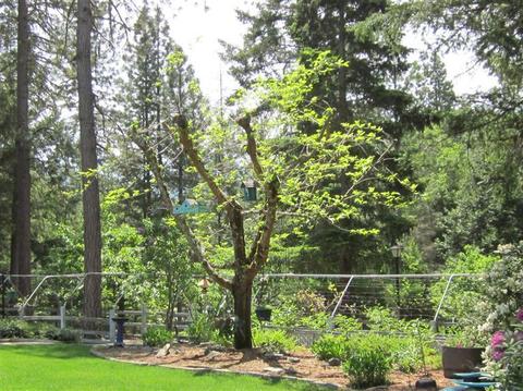 2290 Stringer Gap Rd, Grants Pass, OR 97527 photo 3