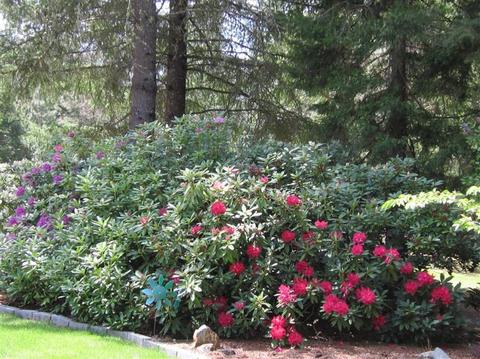 2290 Stringer Gap Rd, Grants Pass, OR 97527 photo 2