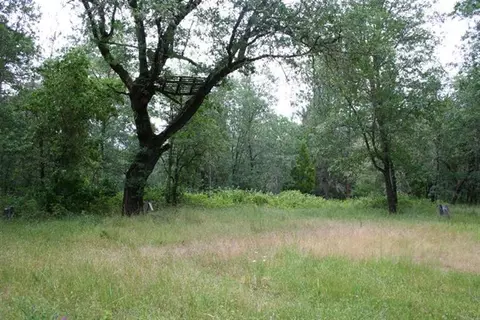 2700 E Fork Rd, Williams, OR 97544 photo 4