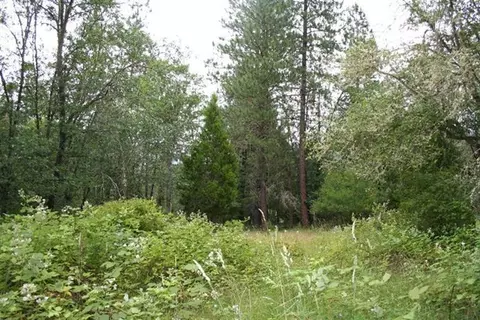 2700 E Fork Rd, Williams, OR 97544 photo 5