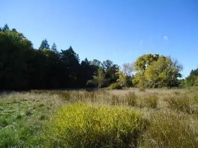 3470 Dick George Rd, Cave Junction, OR 97523 photo 23