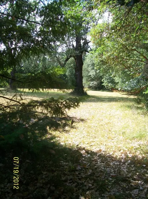 3470 Dick George Rd, Cave Junction, OR 97523 photo 18
