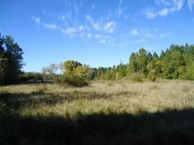 3470 Dick George Rd, Cave Junction, OR 97523 photo 24