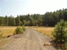 5433 W Side, Cave Junction, OR 97523 photo 3