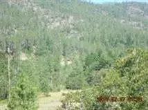 5433 W Side, Cave Junction, OR 97523 photo 2