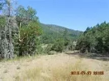 5433 W Side, Cave Junction, OR 97523 photo 5