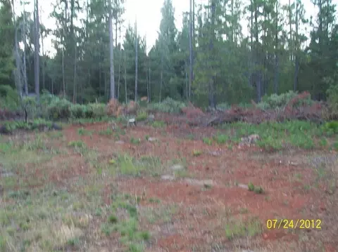 686 Lone Mountain Rd, O'brien, OR 97534 photo 13