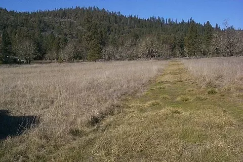 199 Tycer Crossing Rd, Cave Junction, OR 97523 photo 5