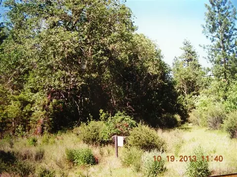 199 Tycer Crossing Rd, Cave Junction, OR 97523 photo 2