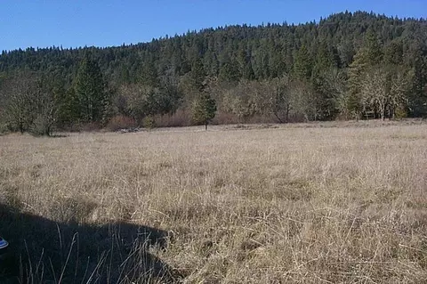 199 Tycer Crossing Rd, Cave Junction, OR 97523 photo 4