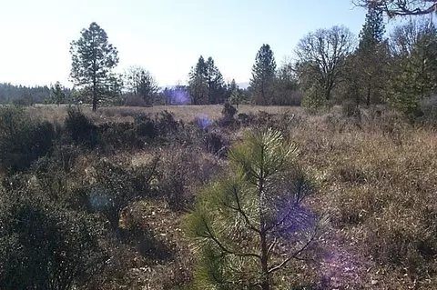 199 Tycer Crossing Rd, Cave Junction, OR 97523 photo 6