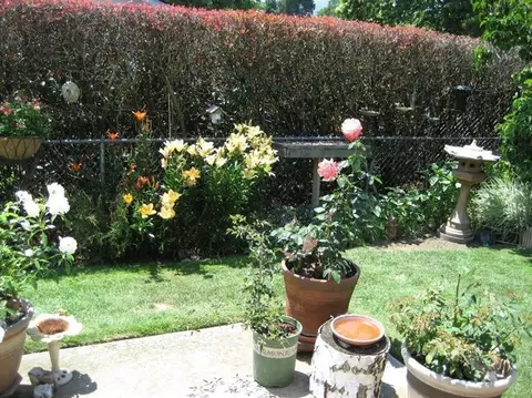 100 Ash Dr, Rogue River, OR 97537 photo 3