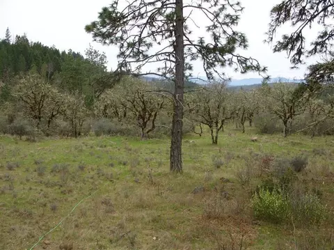 1090 Derby Rd, Eagle Point, OR 97524 photo 3