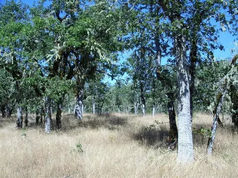 1090 Derby Rd, Eagle Point, OR 97524 photo 4