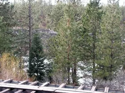 18700 River Woods Dr, Bend, OR 97702 photo 6