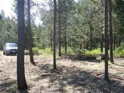55553 Big River Dr, Bend, OR 97707 photo 3