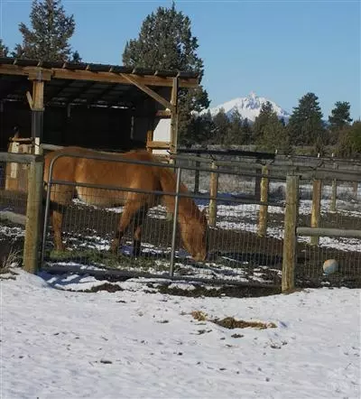 17320 Plainview Rd, Bend, OR 97701 photo 14