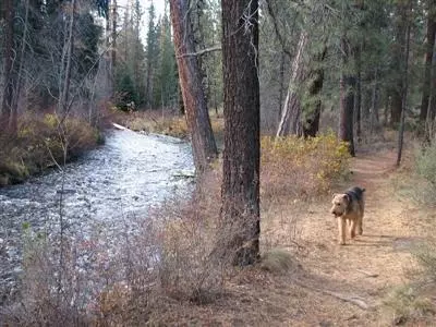 19025 Squirreltail Loop, Bend, OR 97701 photo 17
