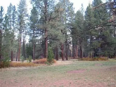 19025 Squirreltail Loop, Bend, OR 97701 photo 20