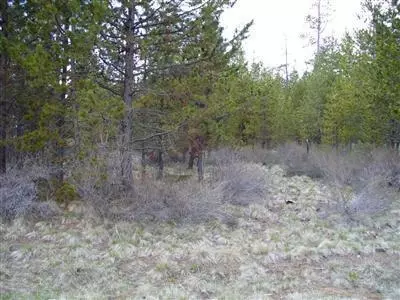 56077 Marsh Hawk Rd, Bend, OR 97707 photo 1