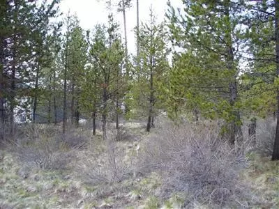 56077 Marsh Hawk Rd, Bend, OR 97707 photo 3