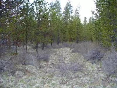 56077 Marsh Hawk Rd, Bend, OR 97707 photo 2