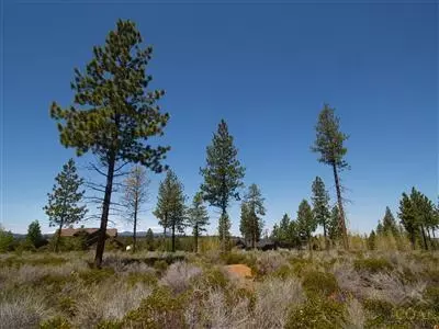 61069 Bachelor View Rd, Bend, OR 97702 photo 2