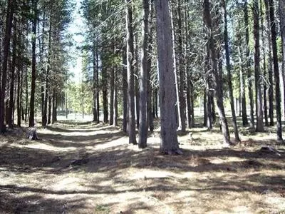 140124 Pine Creek Loop, Crescent Lake, OR 97733 photo 10