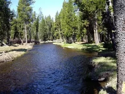 140124 Pine Creek Loop, Crescent Lake, OR 97733 photo 1