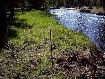 140124 Pine Creek Loop, Crescent Lake, OR 97733 photo 9