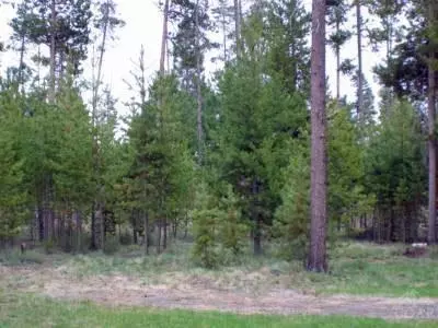 56280 Sandpiper Rd, Bend, OR 97707 photo 8