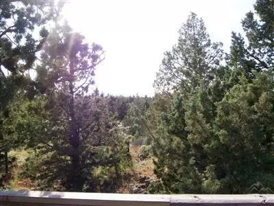 22310 Neff, Bend, OR 97701 photo 7