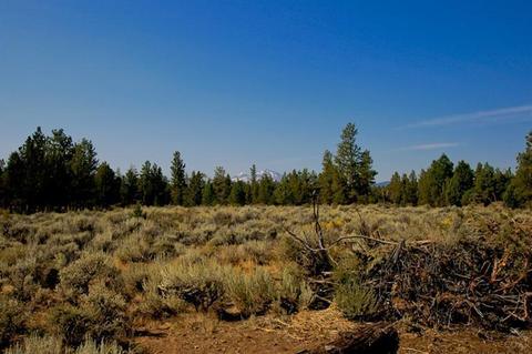 16452 Spunky Dr, Bend, OR 97701 photo 8
