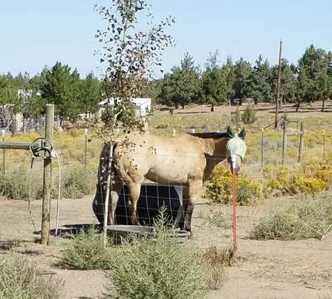 65290 94th St, Bend, OR 97701 photo 2
