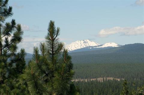 19080 Saddleback Ln, Bend, OR 97701 photo 8