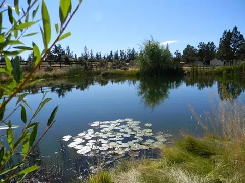 26545 Willard Rd, Bend, OR 97701 photo 18