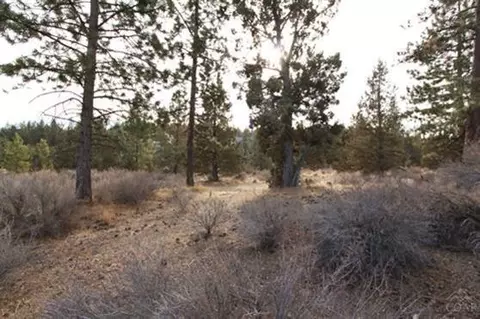2481 NW Drouillard Ave, Bend, OR 97701 photo 3