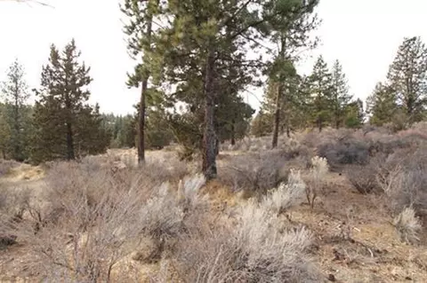 2481 NW Drouillard Ave, Bend, OR 97701 photo 6