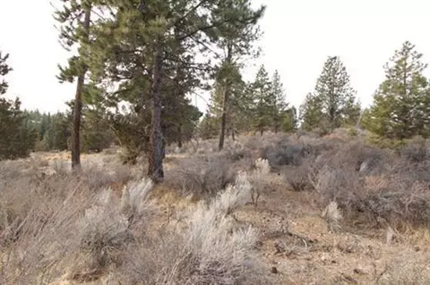 2481 NW Drouillard Ave, Bend, OR 97701 photo 7