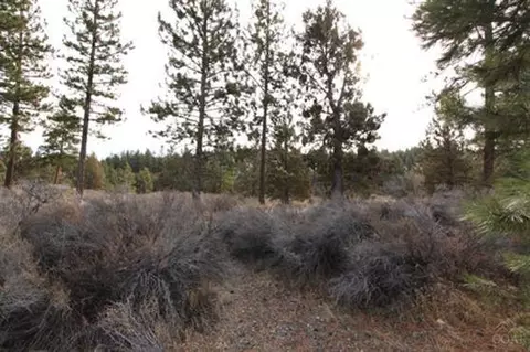 2481 NW Drouillard Ave, Bend, OR 97701 photo 1