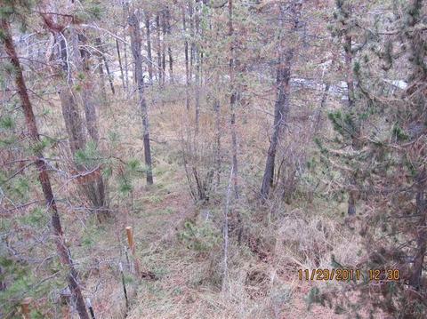 56080 Stellar Dr, Bend, OR 97707 photo 11